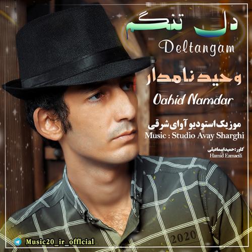 وحید نامدار دلتنگم